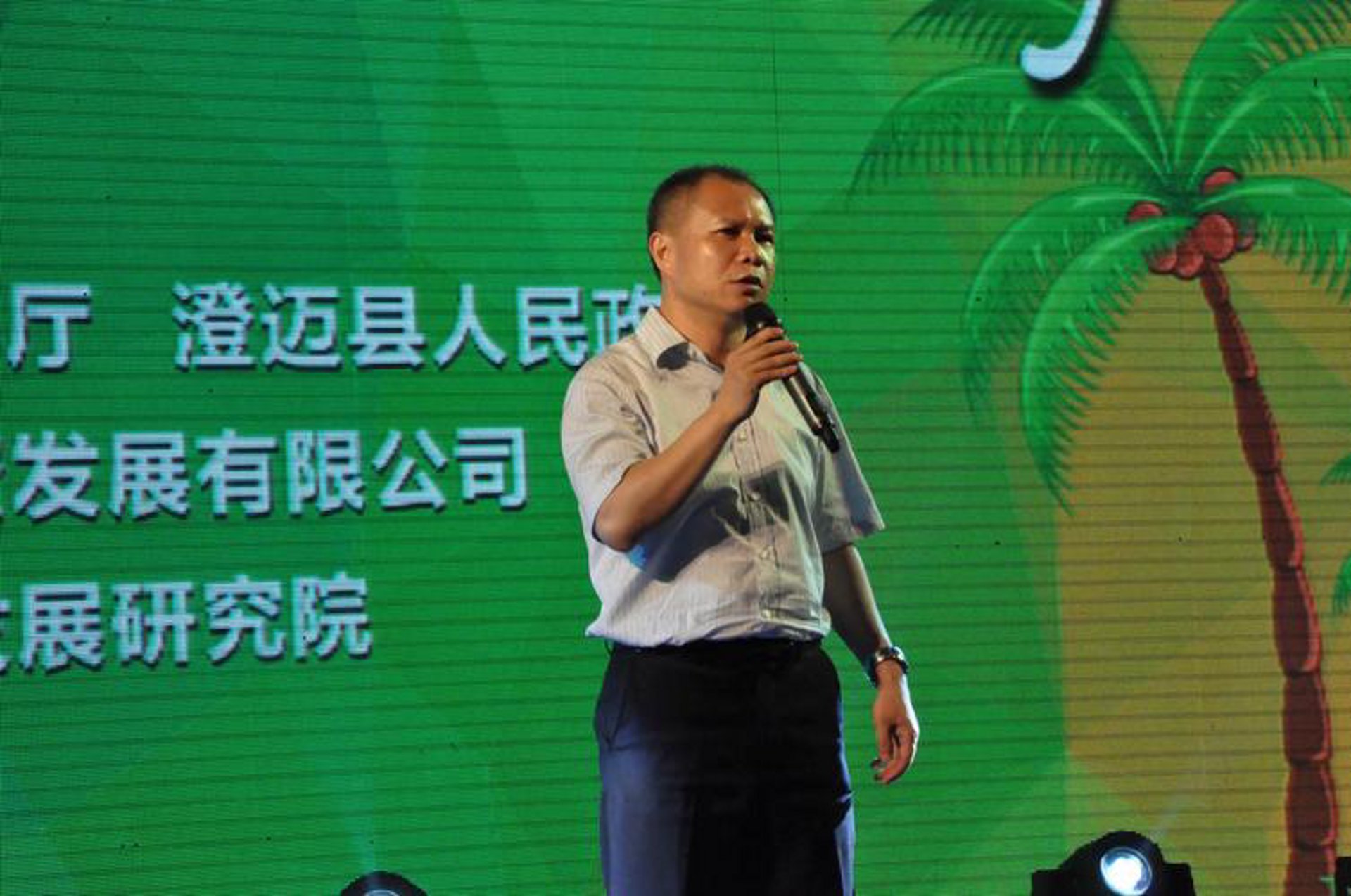 贝达宁咨询